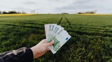 Investments Abroad: Calculating Taxes and Risks of REIT and Build-to-rent Projects at the Start